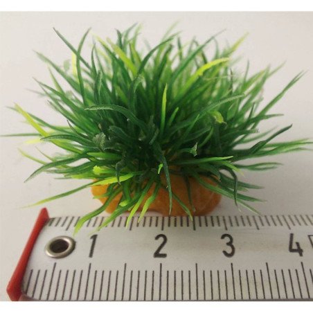 ZOLUX PLANTKIT IDRO PIANTA SMALL X8