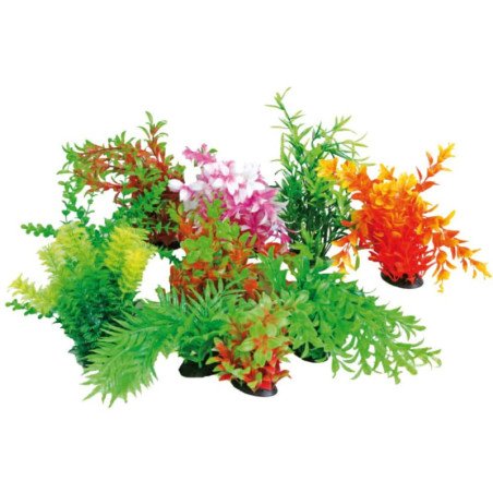 AMTRA PIANTA DECORATIVA 22-25CM COLORI ASSORTITI