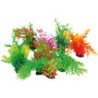 AMTRA PIANTA DECORATIVA 22-25CM COLORI ASSORTITI