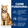 HILL'S GATTO URINARY CARE C/D MULTICARE POLLO
