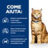 HILL'S GATTO URINARY CARE C/D MULTICARE POLLO