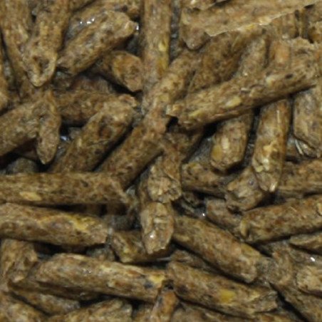 CROCI ROGER MANGIME PER CONIGLI NANI 800GR