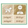 PURINA PRO PLAN GATTO SECCO CAT CHOW ADULT STERILISED POLLO