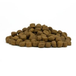 FORZA10 MAXI ADULT MONODIET PESCE 36-70KG