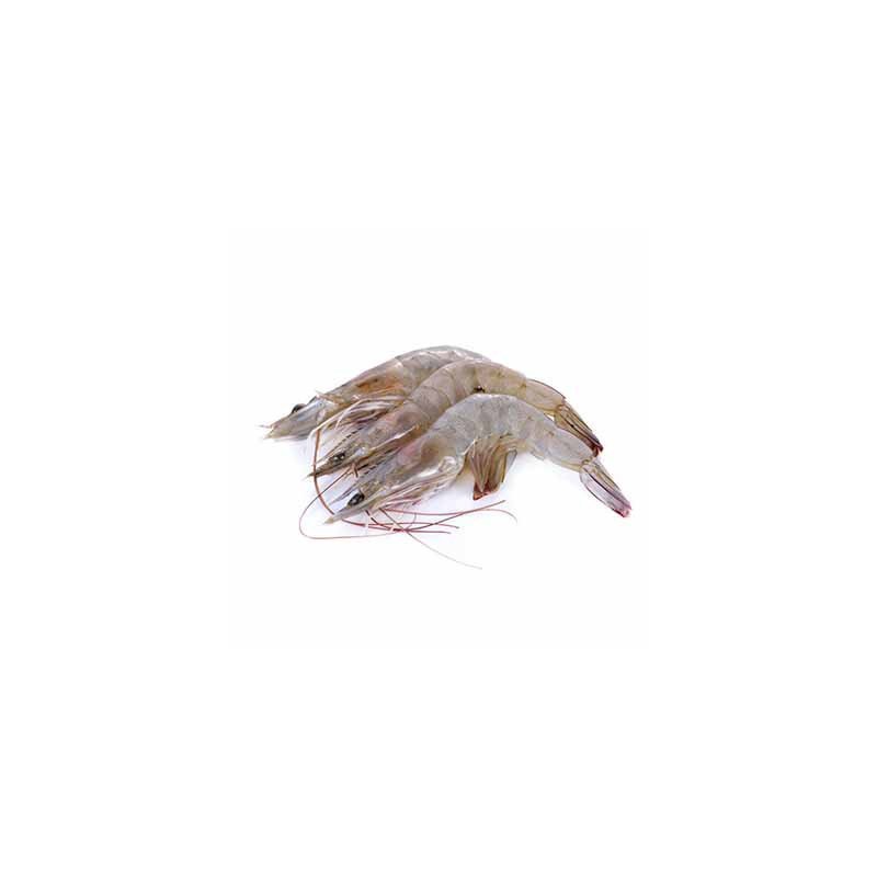 GAMBERI MAZZANCOLLA TROPICALE EL CITO 50/60 900GR