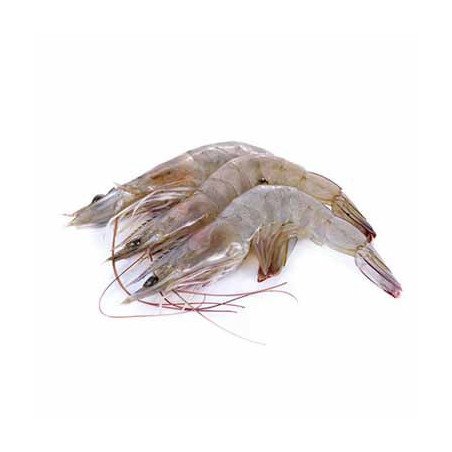 GAMBERI MAZZANCOLLA TROPICALE EL CITO 50/60 900GR