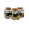 MARIMO IN VASO QUADRATO TAPPO IN SUGHERO A DUE ALGHE