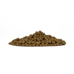 FORZA10 MINI PUPPY MAINTENANCE POLLO CON PATATE 2-12 MESI