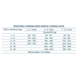 FORZA10 MINI PUPPY MAINTENANCE POLLO CON PATATE 2-12 MESI