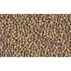 TETRA TABLETS TABIMIN 120 COMPRESSE