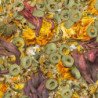 SERA FLOWERS & LOOPS NATURE 1000ML PER TARTARUGHE