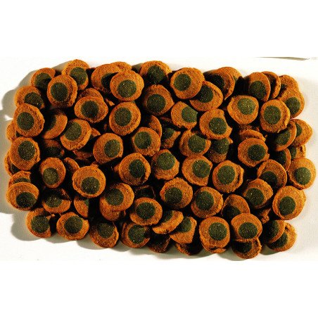 TETRA PLECO SPIRULINA WAFERS 250ML