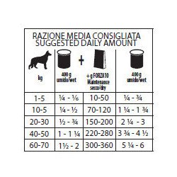 FORZA10 MAINTENANCE ANATRA 400GR CANE