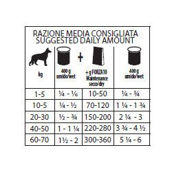 FORZA10 MAINTENANCE TACCHINO 400GR CANE