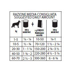 FORZA10 MAINTENANCE MAIALE 400GR CANE