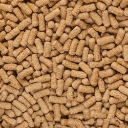 SERA RAFFY MINERAL PER TARTARUGHE