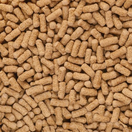 SERA RAFFY MINERAL PER TARTARUGHE