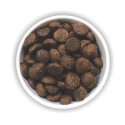 DAGEL SILVIUM MANTENIMENTO MANZO E AGNELLO 20KG