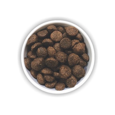 DAGEL SILVIUM MANTENIMENTO MANZO E AGNELLO 20KG