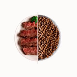 DAGEL TOP BEEF MANTENIMENTO AL MANZO 20KG