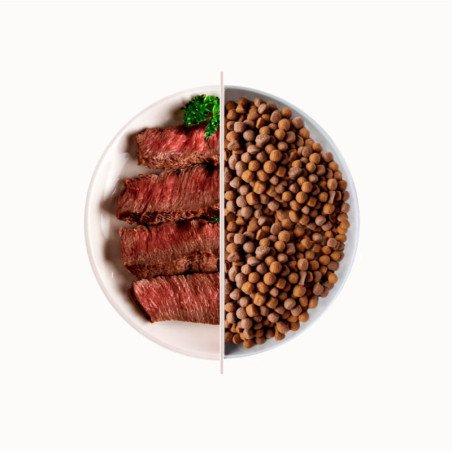 DAGEL TOP BEEF MANTENIMENTO AL MANZO 20KG