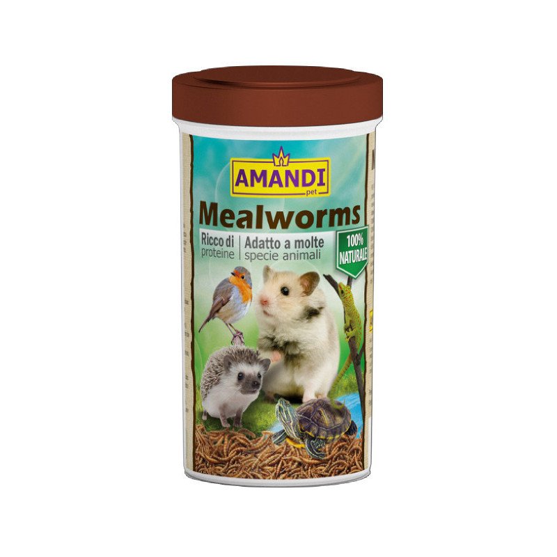PRODAC MEALWORMS