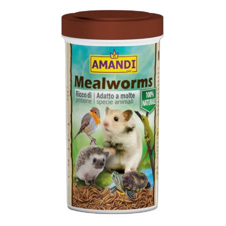 PRODAC MEALWORMS