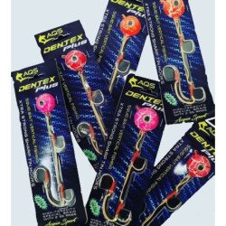 AQS DENTEX PLUS 200GR MONTATO