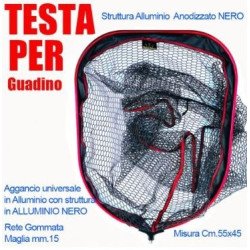 OLYMPUS TESTA GUADINO 55X45CM