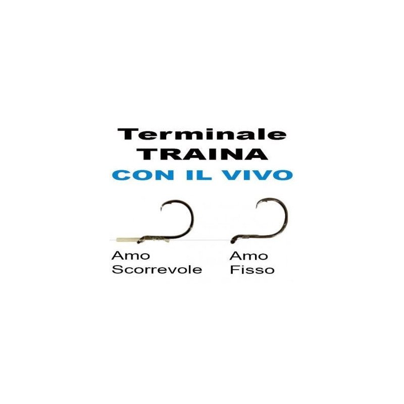 OLYMPUS TERMINALE DA TRAINA COL VIVO