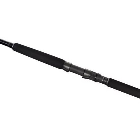 SHIMANO CANNA CURRENTSNIPER BB 2,90MT 80GR