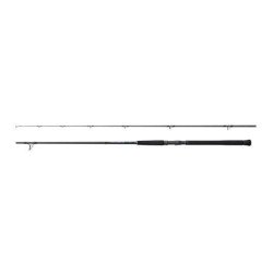 SHIMANO CANNA CURRENTSNIPER BB 2,90MT 80GR