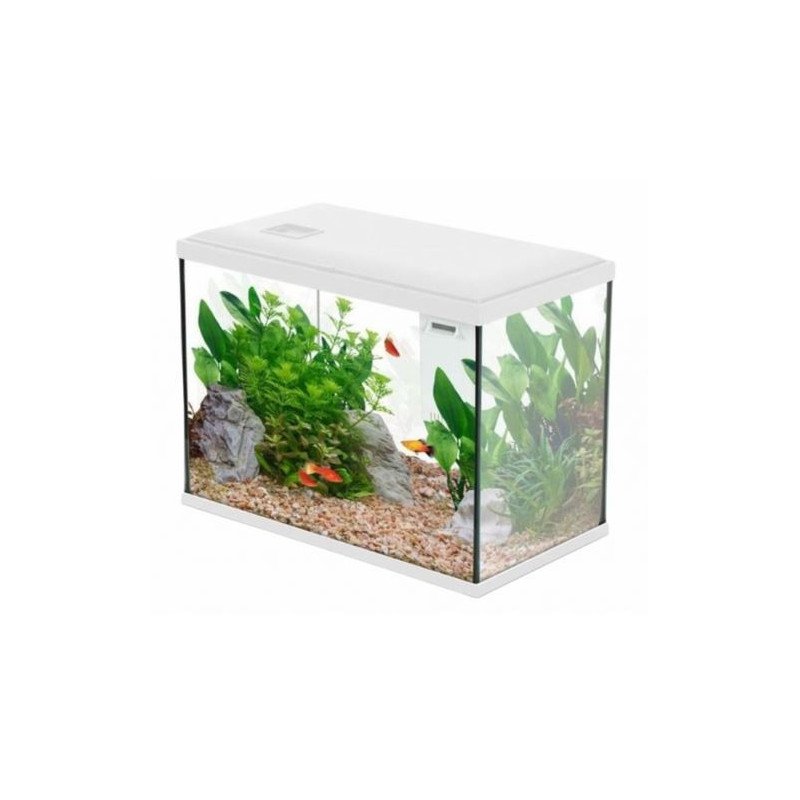 ZOLUX ACQUARIO INITIO 40 DA 24LT