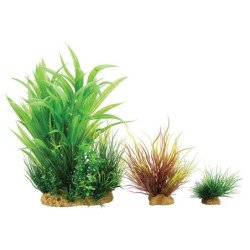 ZOLUX PLANTKIT SMALL NUMERO 2