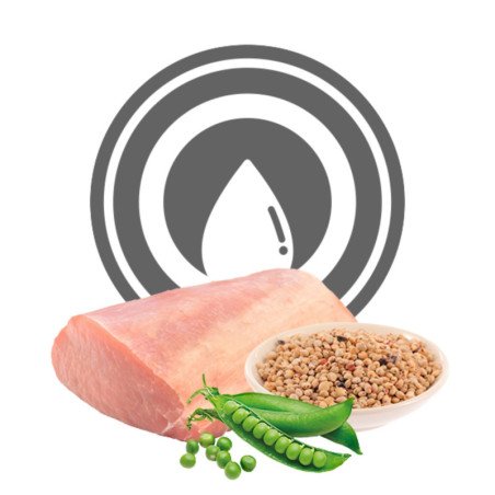 EXCLUSION CANE UMIDO DIET HEPATIC MAIALE E RISO 400GR