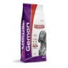 GEMON DOG ALL BREEDS CROCCANTINI SUPER ENERGY 20KG