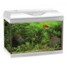 AMTRA ACQUARIO BASIC LED 60 BIANCO 60x32x42H