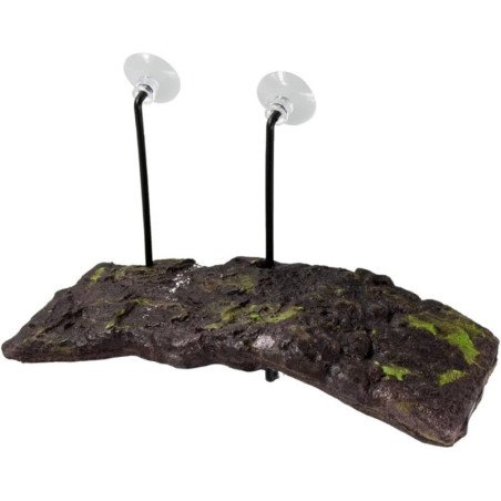 ZOOMED ISOLA TURTLE DOCK LARGE