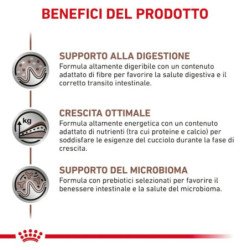 ROYAL CANIN CANE PUPPY GASTROINTESTINAL