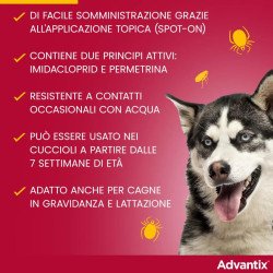 src:https://tropical-store.com/44379/elanco-advantix-da-4kg-a-10kg-antiparassitario-per-cani.jpg