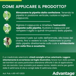src:https://tropical-store.com/44339/elanco-advantage-per-gatti-e-conigli-maggiore-di-4kg.jpg