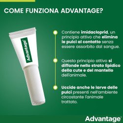src:https://tropical-store.com/44340/elanco-advantage-per-gatti-e-conigli-maggiore-di-4kg.jpg