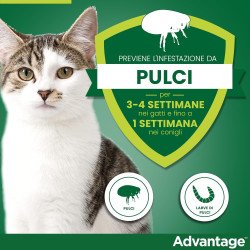 src:https://tropical-store.com/44341/elanco-advantage-per-gatti-e-conigli-maggiore-di-4kg.jpg