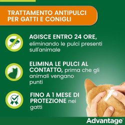 src:https://tropical-store.com/44342/elanco-advantage-per-gatti-e-conigli-maggiore-di-4kg.jpg