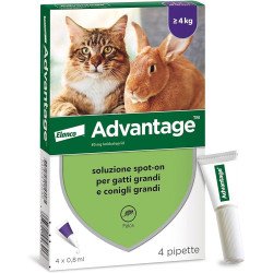 src:https://tropical-store.com/44338/elanco-advantage-per-gatti-e-conigli-maggiore-di-4kg.jpg