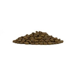 src:https://tropical-store.com/45121/forza10-mini-adult-maintenance-cervo-con-patate-1-10kg.jpg