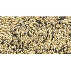 src:https://tropical-store.com/18319/manitoba-miscela-canarini-t3-20kg.jpg