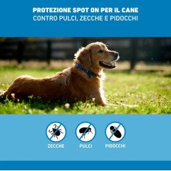 src:https://tropical-store.com/46368/frontline-spot-on-cani-2-10kg-3-pipette.jpg