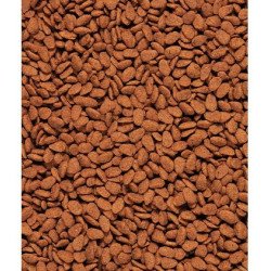 src:https://tropical-store.com/18484/versele-laga-estruso-nutribird-g18-original-10kg.jpg