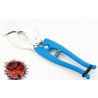 src:https://tropical-store.com/22235/expert-forbice-tagliaricci-inox.jpg